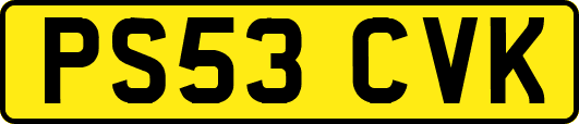 PS53CVK