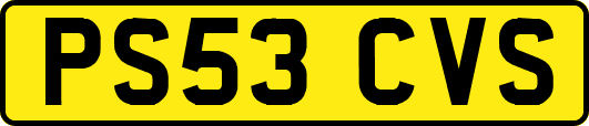 PS53CVS