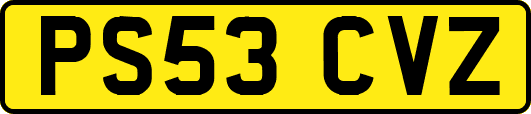 PS53CVZ