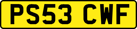 PS53CWF