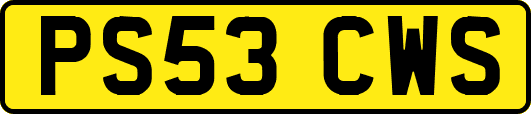 PS53CWS