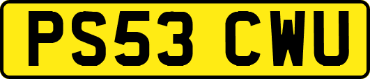 PS53CWU