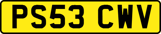 PS53CWV
