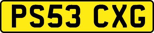 PS53CXG