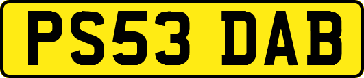 PS53DAB
