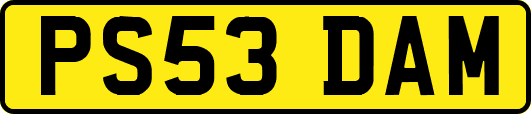 PS53DAM
