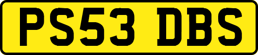 PS53DBS
