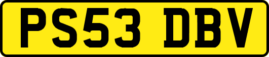 PS53DBV