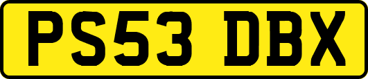 PS53DBX