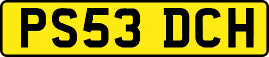 PS53DCH