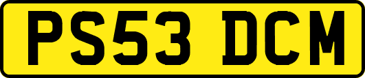 PS53DCM