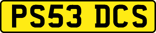 PS53DCS