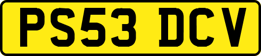 PS53DCV