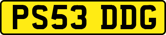 PS53DDG