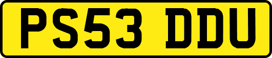 PS53DDU