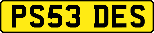 PS53DES