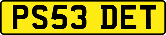 PS53DET