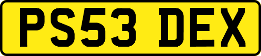 PS53DEX