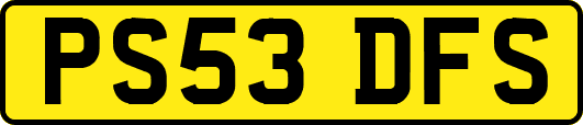 PS53DFS
