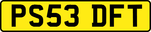 PS53DFT