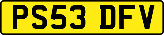 PS53DFV