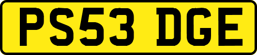 PS53DGE
