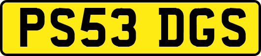 PS53DGS