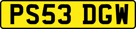 PS53DGW