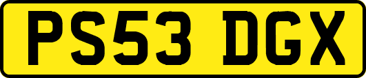 PS53DGX