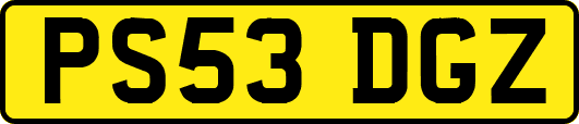 PS53DGZ