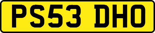 PS53DHO