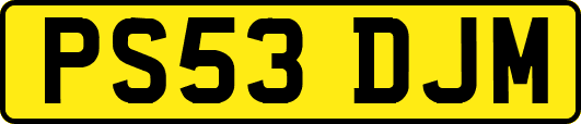 PS53DJM