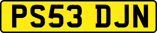 PS53DJN