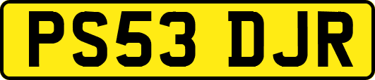 PS53DJR