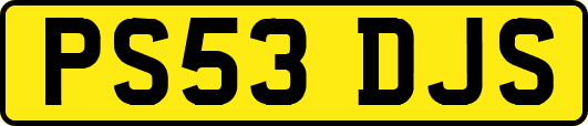 PS53DJS