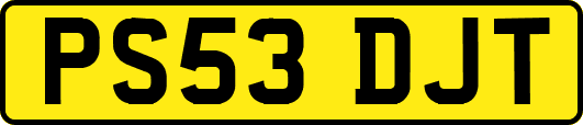 PS53DJT