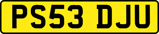 PS53DJU
