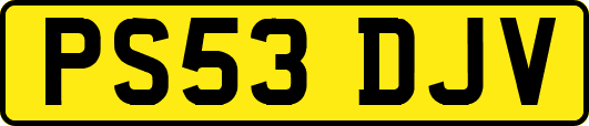 PS53DJV