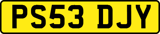 PS53DJY