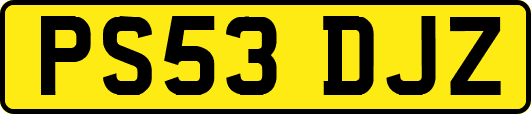 PS53DJZ