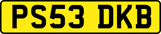 PS53DKB