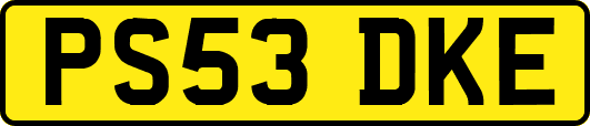 PS53DKE