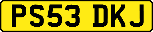 PS53DKJ