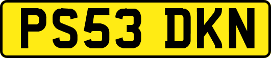 PS53DKN