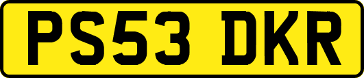PS53DKR
