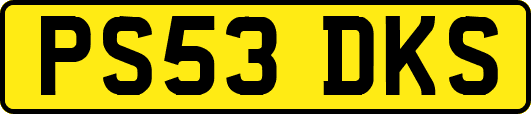 PS53DKS