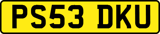 PS53DKU