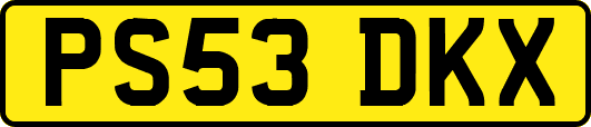 PS53DKX