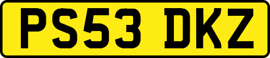 PS53DKZ