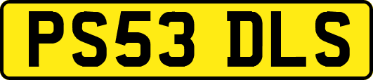 PS53DLS